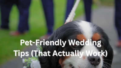 Pet-Friendly Pet Tips